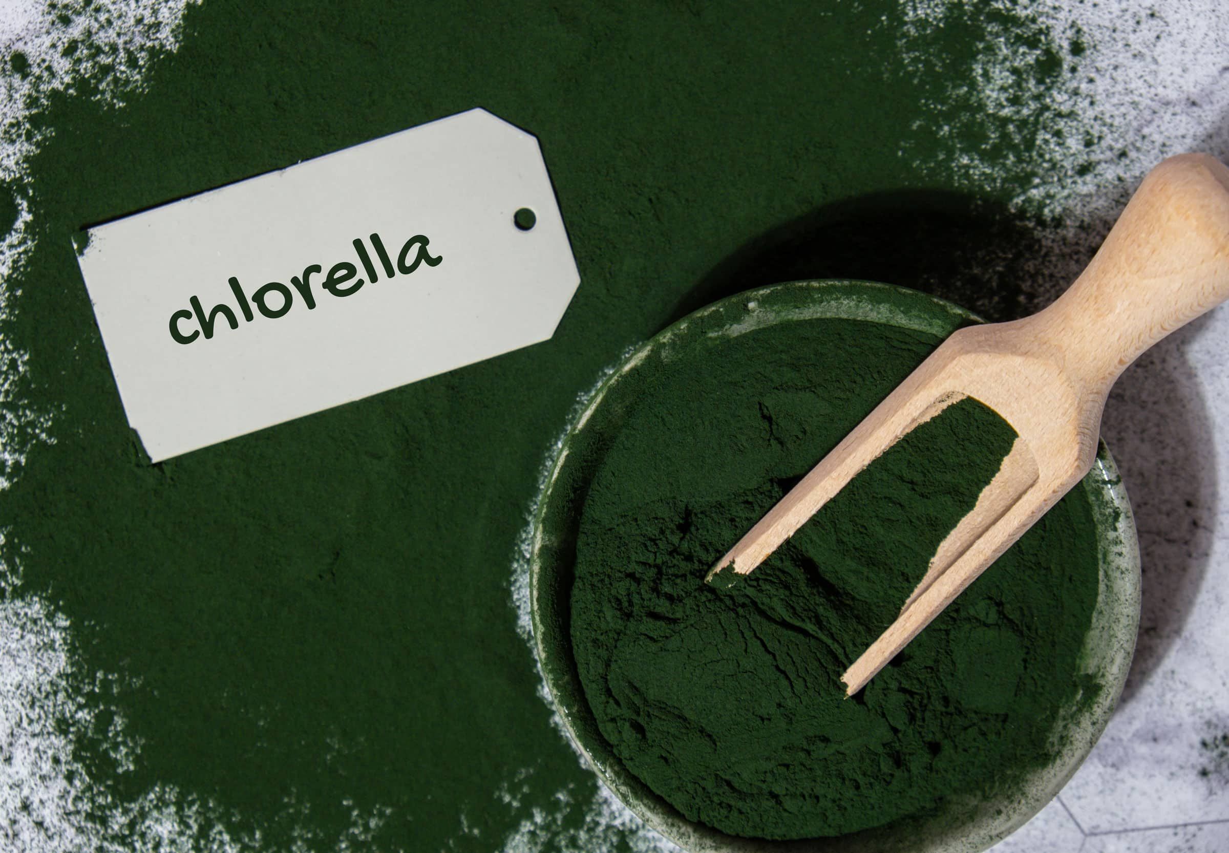 Chlorella Pulver