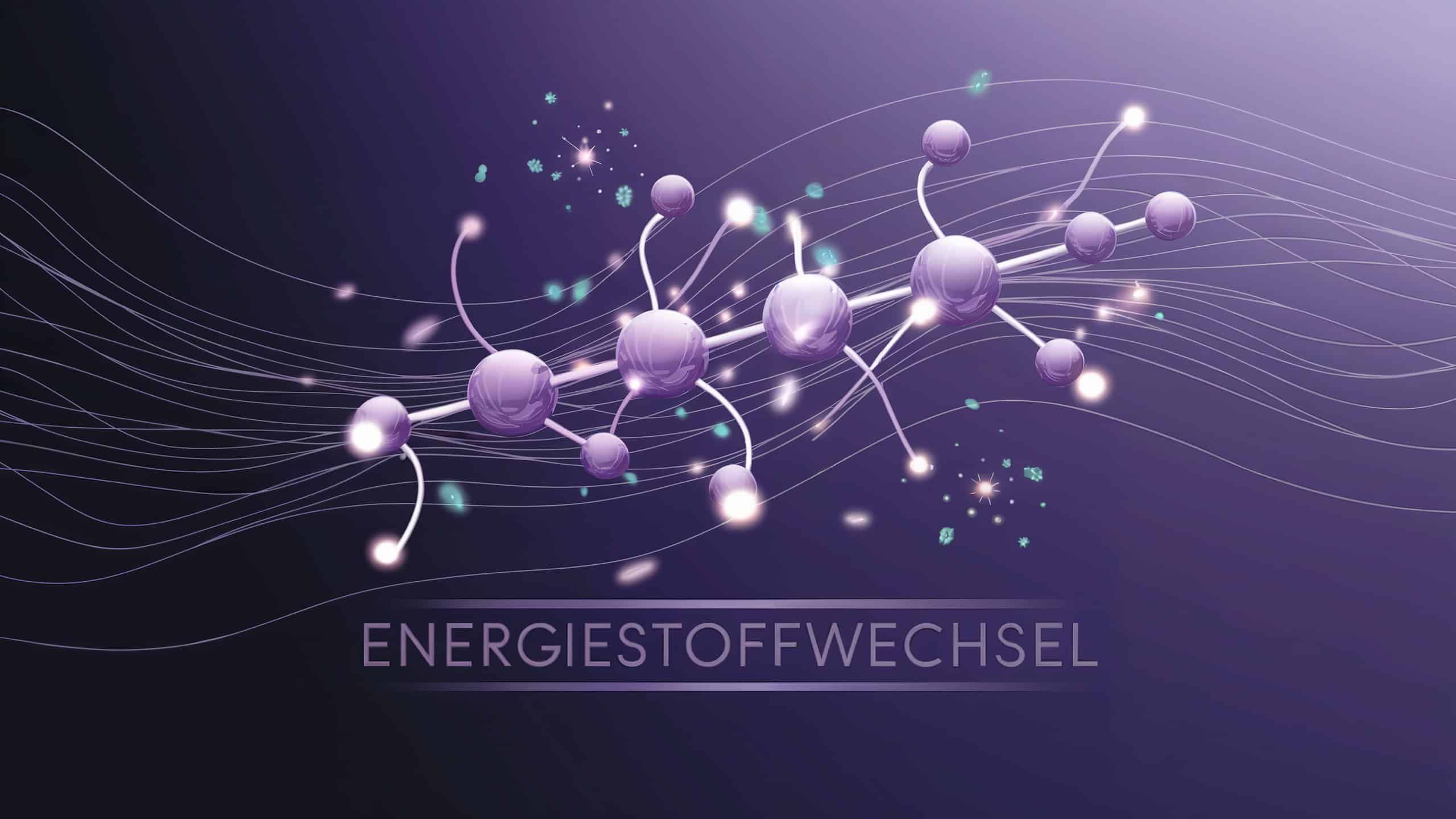 Energiestoffwechsel