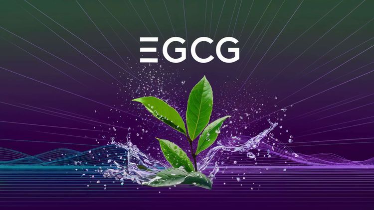 EGCG