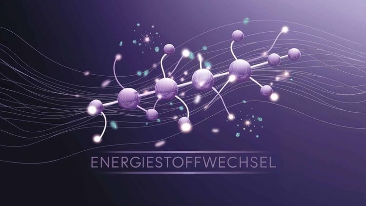 Energiestoffwechsel
