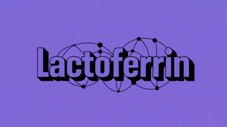 Lactoferrin