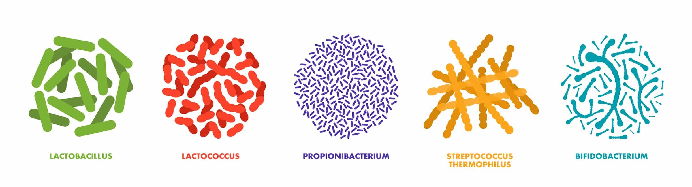 Effektive Mikroorganismen