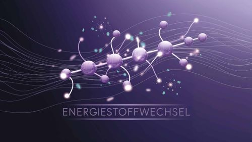 Energiestoffwechsel